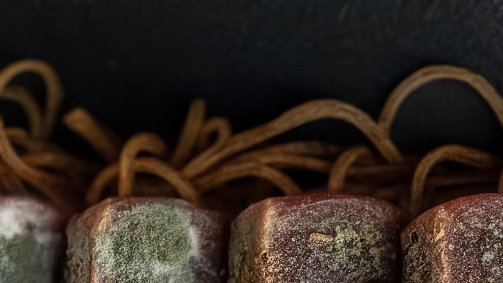 ROT_Macro_v002_sashimi_01 Large