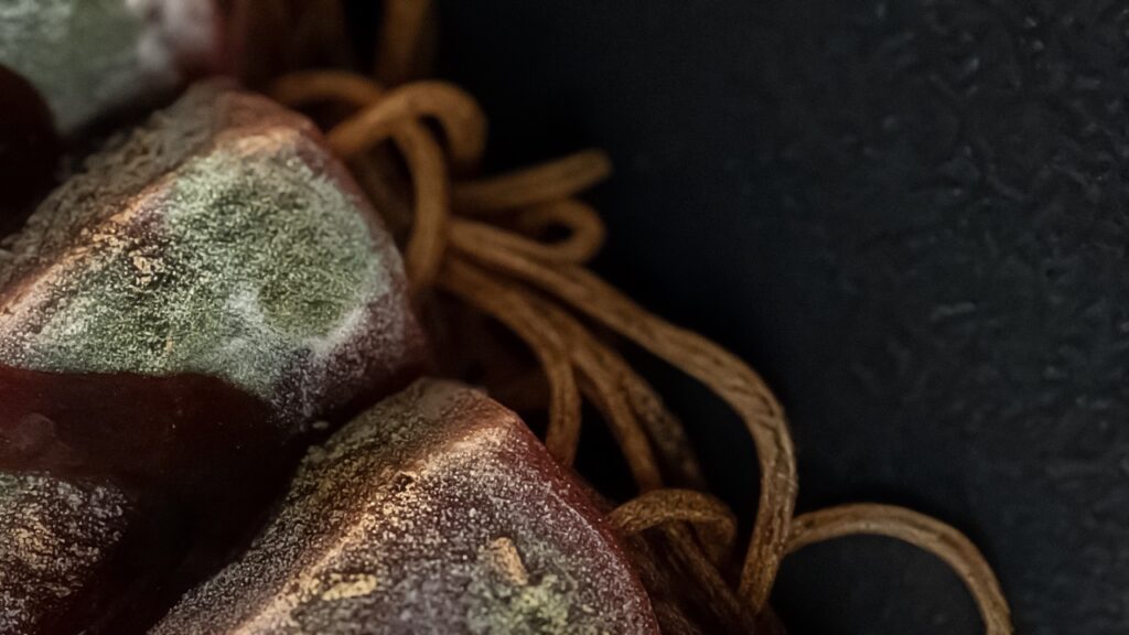 ROT_Macro_v002_sashimi_02 Large